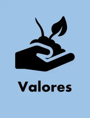 img-valores